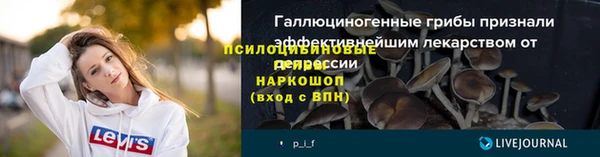 дживик Медногорск