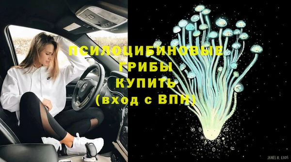 мескалин Медвежьегорск