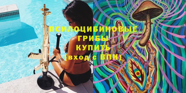 дживик Медногорск