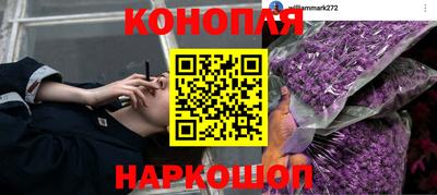 первитин Новозыбков