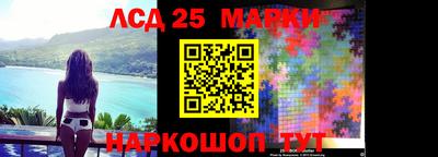 крисы Новодвинск