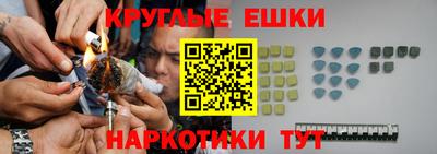 крисы Новодвинск