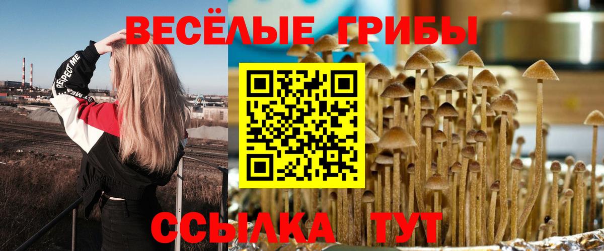 Прокопьевск  Галлюциногенные грибы мухоморы  Псилоцибиновые грибы Magic Shrooms  наркошоп  Вход с VPN 