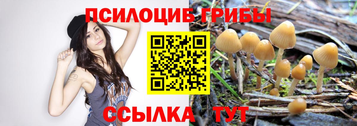 Прокопьевск  Галлюциногенные грибы мухоморы  Псилоцибиновые грибы мицелий  Вход с VPN 